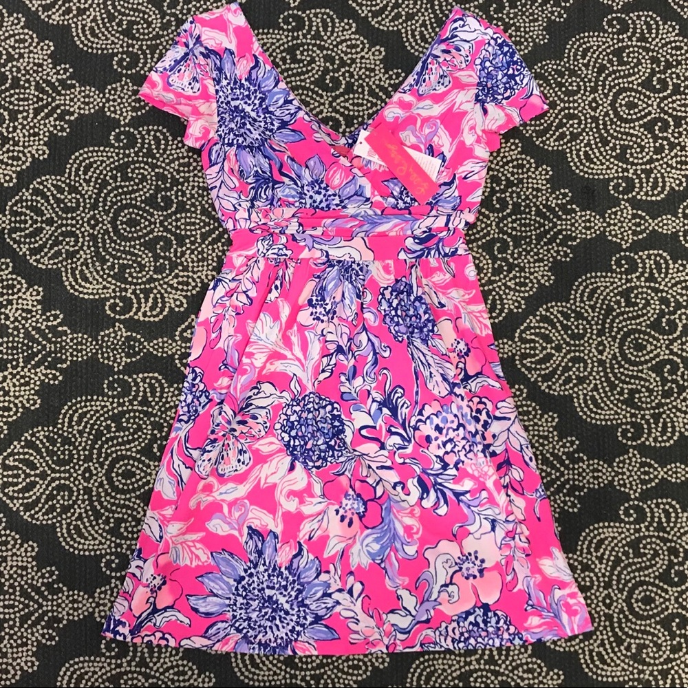 NWT Lilly Pulitzer Winslow dress